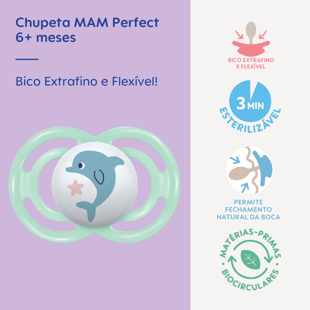 Chupeta MAM Perfect 6+ Meses Verde com Caixa Esterilizadora