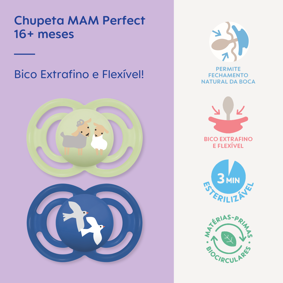 Chupeta MAM Perfect 16+ Meses com Caixa Esterilizadora Embalagem Dupla