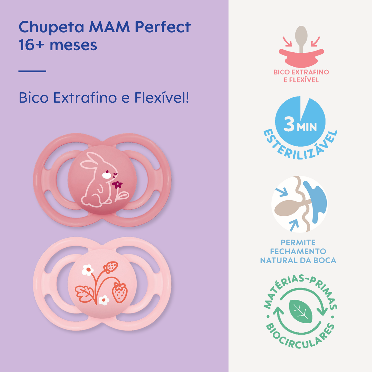 Chupeta MAM Perfect 16+ Meses com Caixa Esterilizadora Embalagem Dupla