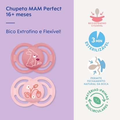 Chupeta MAM Perfect 16+ Meses com Caixa Esterilizadora Embalagem Dupla