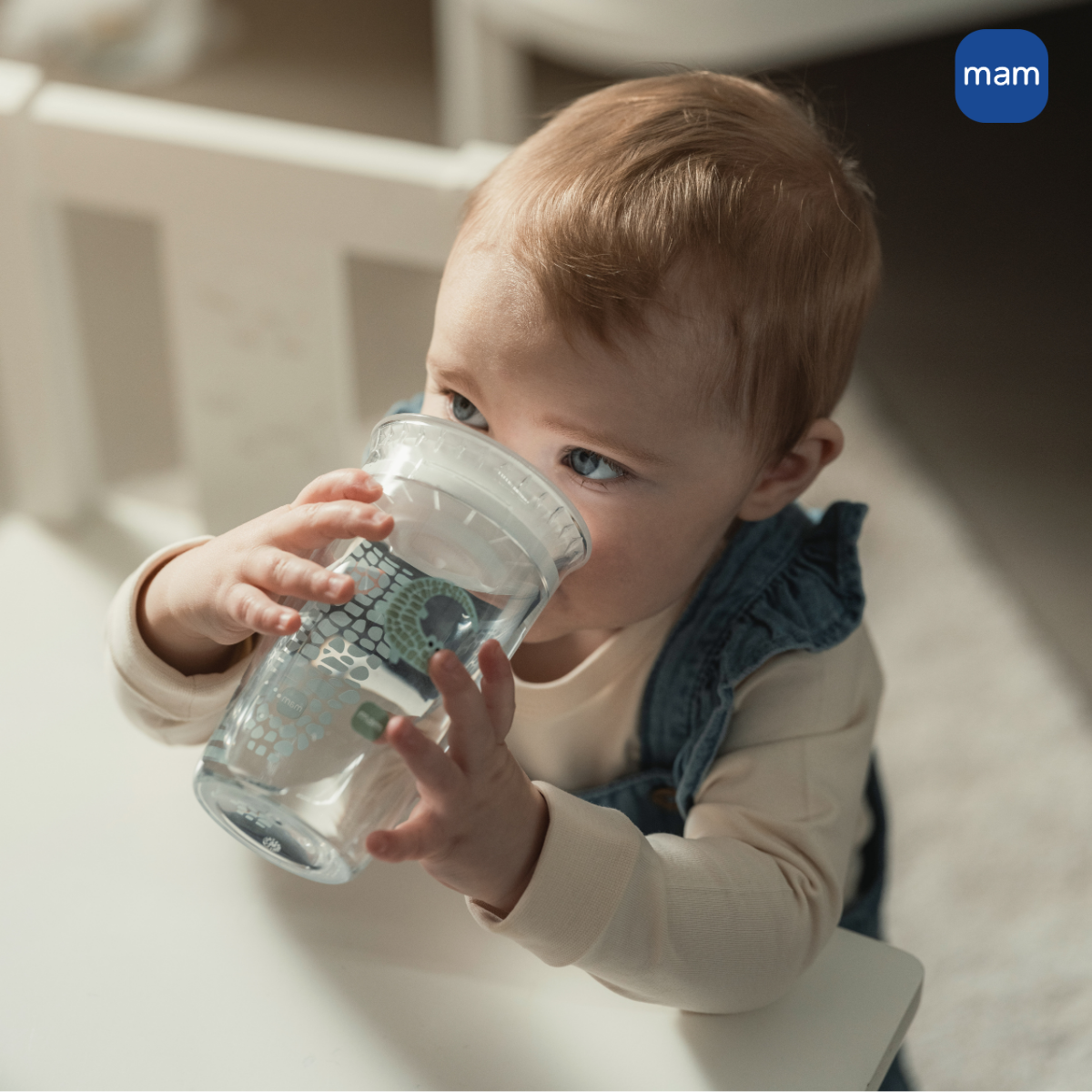 Copo de Transição 360° MAM Fácil de Beber 290ml 8+ Meses Com Tampa Lilás