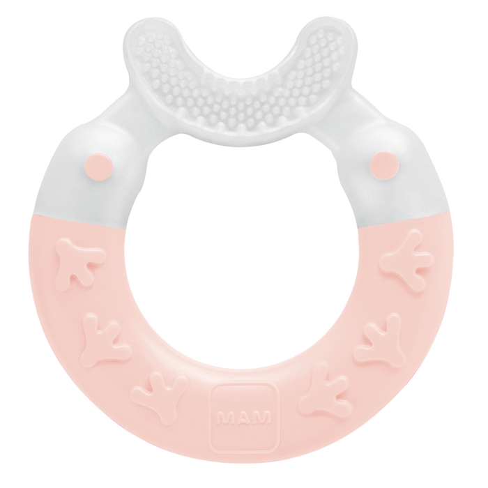 Mordedor para Bebê MAM Bite & Brush 4+ Meses Rosa